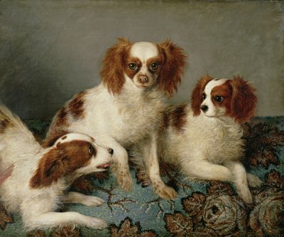 Tre Cavalier King Charles Spaniel su un Tappeto da English School
